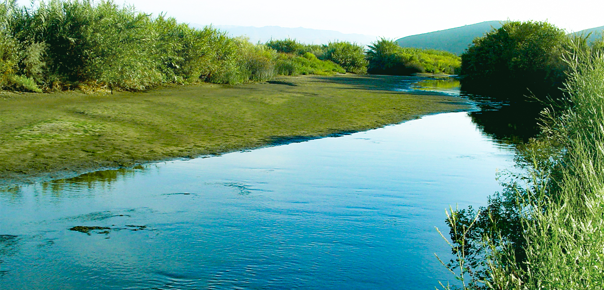 Conejo Creek